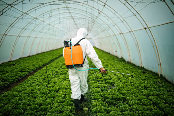Best Pest Control Cost  in Chepachet, RI