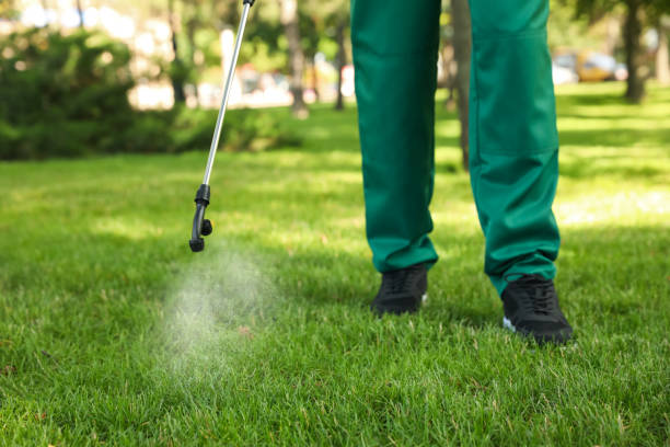 Best Rat Extermination Near Me  in Chepachet, RI
