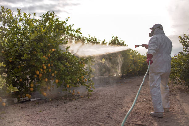 Best Pest Control Near Me  in Chepachet, RI
