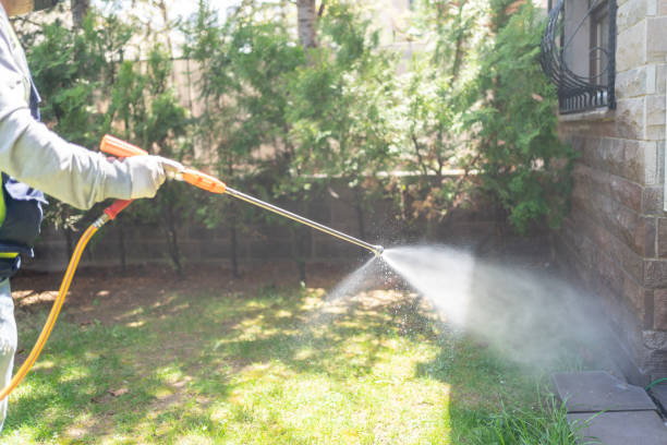 Best Pest Inspection Near Me  in Chepachet, RI